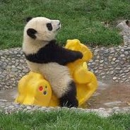 Mr. Panda