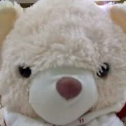 -Shiro