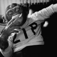 ZIP