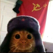 НетЯНеХохол