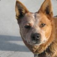 [SWAT]Pvt2.BUDDZ008