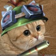 battletoad
