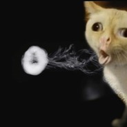 YUH
