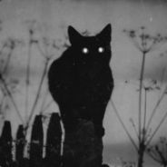 Steam profile picture for @intestines