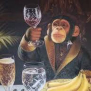 DRUNK MONKEY