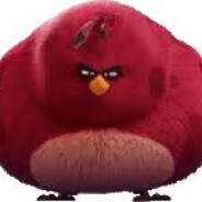 Czarny Grubson