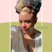 hachi