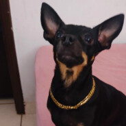 PURA SORTE