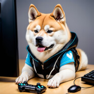 Akitagamer
