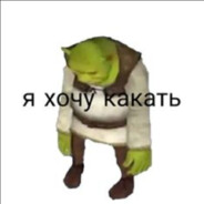 ПиПиСя