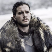 The King in The North
