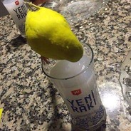 Cicikuş Öpen Santa Kensh1