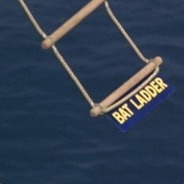Bat Ladder