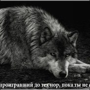 sergey-efremov-03