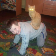 cat father