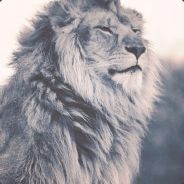 Imaginati0n.