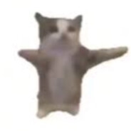 yolokutya