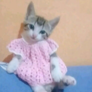 vitun pieru
