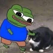 katze streicheln