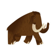 mamut132