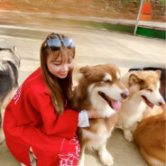 Gấu♡