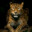 Group Avatar