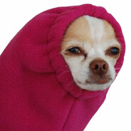 DILDOG