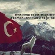 ABUZZETTİN HAŞMETEGOLLİ