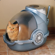 Litter Box