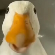 MarshTR