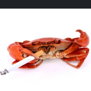 Mr Muddy Crabby