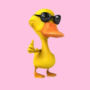 ND
