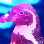 Steam profile picture for @notm