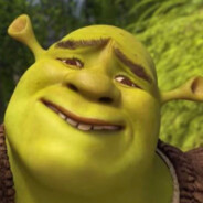 pokorny shrek <SZYBKI WPIER>