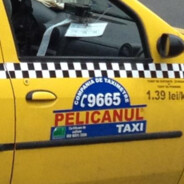 taxi pelicanu