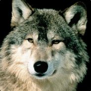 Wolfguard