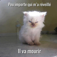 road to supp