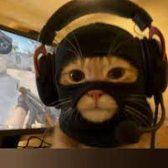 Meow