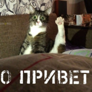 привет