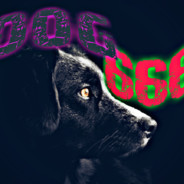 dog666