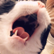 SWALLYฅ^•ﻌ•^ฅ