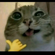 sameone