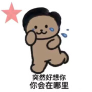 沙特c