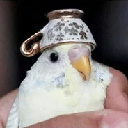 тяй кофя?