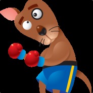 Kangurek