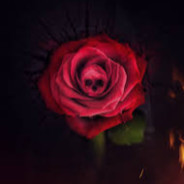 ROSESDEAD