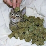 meow.