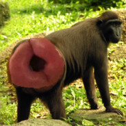 my BUMHOLE is ready <3