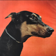 DobiE