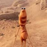 hsnahim